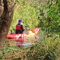 Kayaking review photo from Trevor S